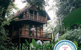 Our Jungle Camp - Eco Resort